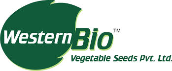 Western Bio Seeds - Custom WordPress Website Development by Betanet